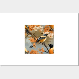 North American Birds - Oriole Posters and Art